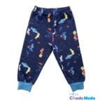 rp1104-v1-1-900×1350