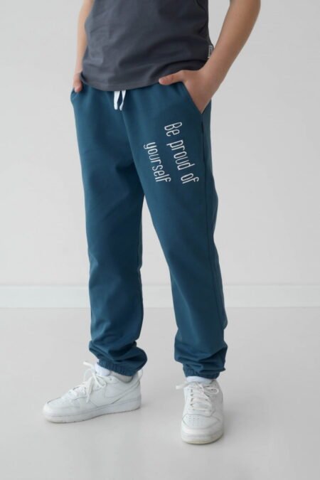 Спортивные штаны Hart