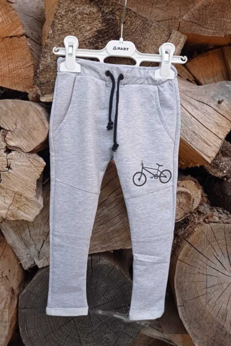 Спортивные штаны Hart