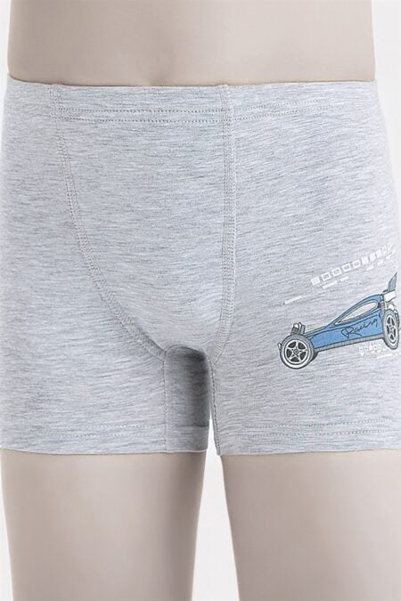 Трусы-боксёры Baykar Renkli 3662 Серый