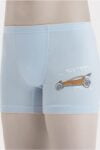Трусы-боксёры Baykar Renkli 3662 Голубой