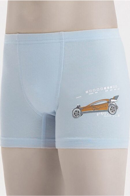 Трусы-боксёры Baykar Renkli 3662 Голубой