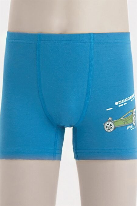 Трусы-боксёры Baykar Renkli 3662 Синий