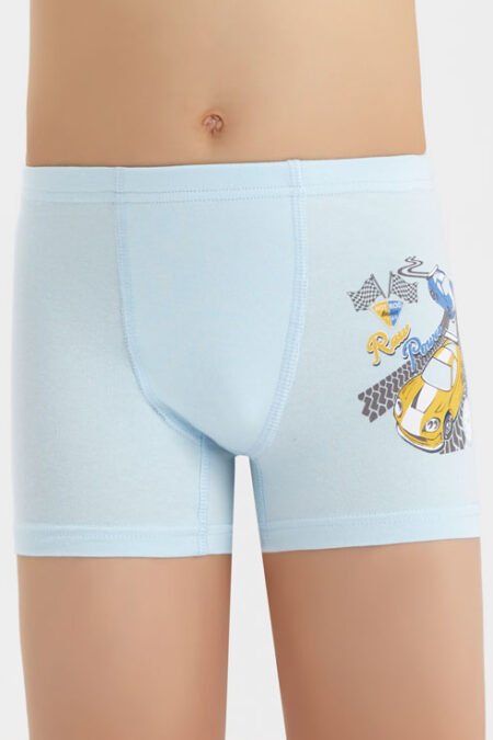 Трусы-боксёры Baykar Renkli 3660 Голубой