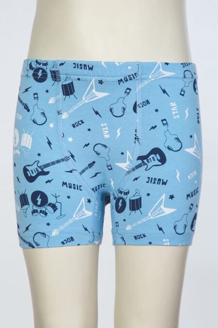 Труси-боксери Baykar Trumpet 3694 Блакитний