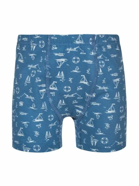 Труси-боксери Baykar Лист 3592 Синій