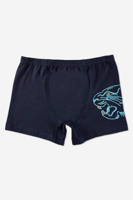 Трусы-боксёры Baykar 3917 Синий