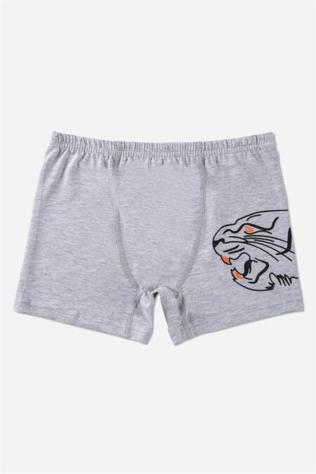 Трусы-боксёры Baykar 3917 Серый